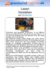 Farbmäuse - Sachtext.pdf